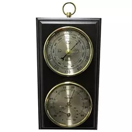 Барометр БРИГ