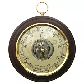 Барометр БРИГ