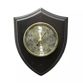 Барометр БРИГ