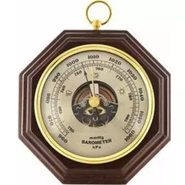 Барометр БРИГ
