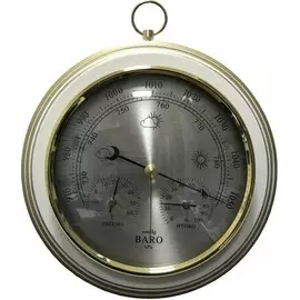 Барометр БРИГ