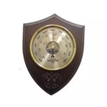 Барометр БРИГ