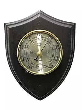 Барометр БРИГ