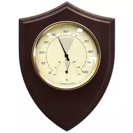 Барометр БРИГ