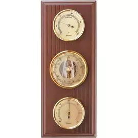 Барометр БРИГ