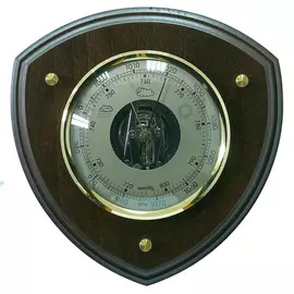 Барометр БРИГ