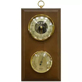 Барометр БРИГ