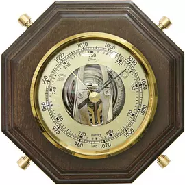 Барометр БРИГ