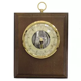 Барометр БРИГ