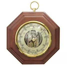 Барометр БРИГ