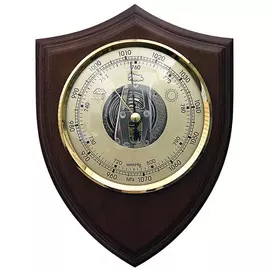 Барометр БРИГ
