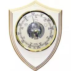 Барометр БРИГ