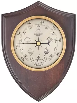 Барометр БРИГ