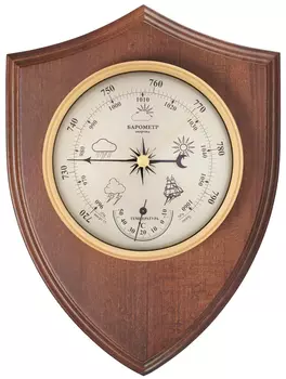 Барометр БРИГ