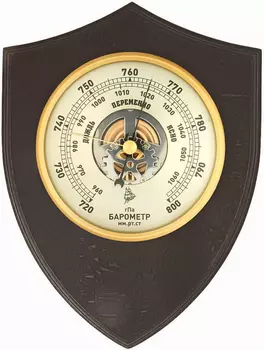 Барометр БРИГ