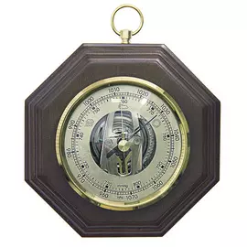 Барометр БРИГ