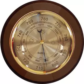 Барометр Москвин