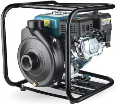 Бензиновая LEO