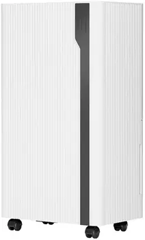 Бытовой осушитель воздуха Remez