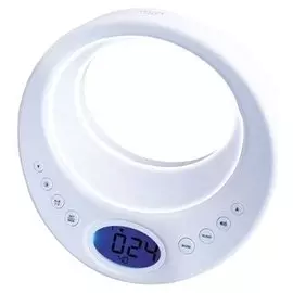 Часы с радио BVItech