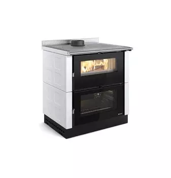 Дровяная печь La Nordica