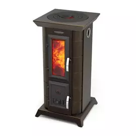 Дровяная печь TMF