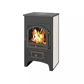 Дровяная печь Везувий