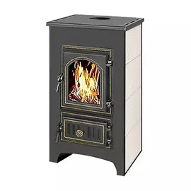 Дровяная печь Везувий