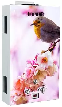 Газовый проточный водонагреватель Теплокс