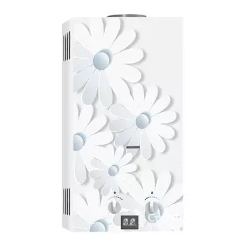 Газовый проточный водонагреватель VEKTOR