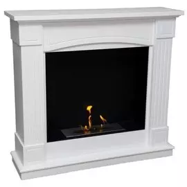 Напольный биокамин Firebird