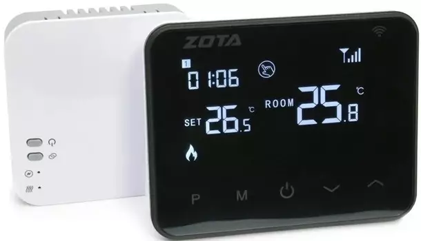 Комнатный Zota