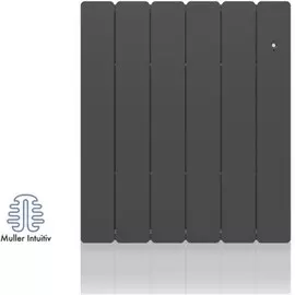 Конвектор электрический Noirot