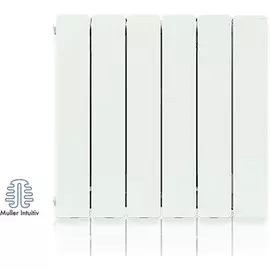 Конвектор электрический Noirot