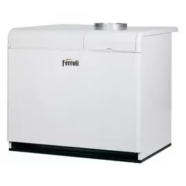 Напольный газовый котел Ferroli