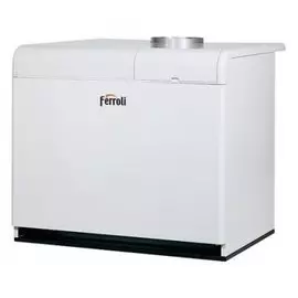 Напольный газовый котел Ferroli