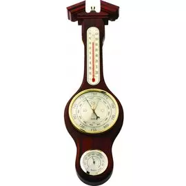 Настенная метеостанция Бриг+