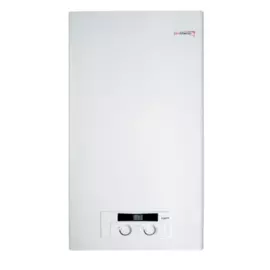Настенный газовый котел Protherm