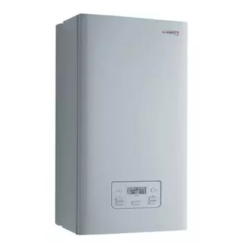 Настенный газовый котел Protherm