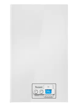 Настенный газовый котел Thermona