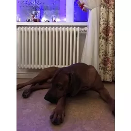 Радиатор отопления Arbonia