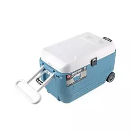 Термоконтейнер Igloo