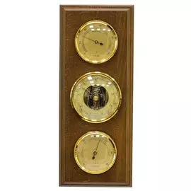 Термобарометр БРИГ