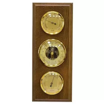 Термобарометр БРИГ