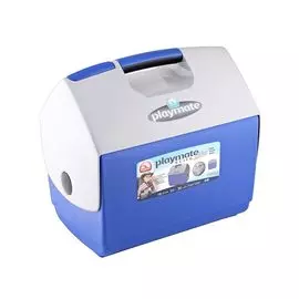 Термоконтейнер Igloo