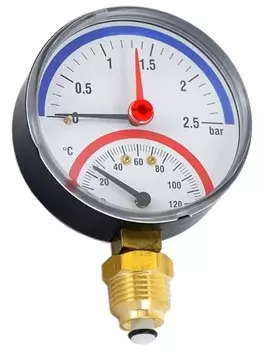 Термоманометр радиальный Watts