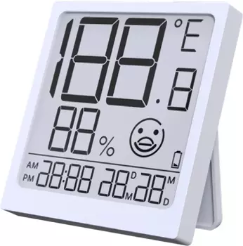 Термометр BALDR