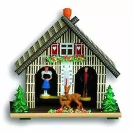 Термометр TFA