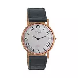 Стальные часы марки titan