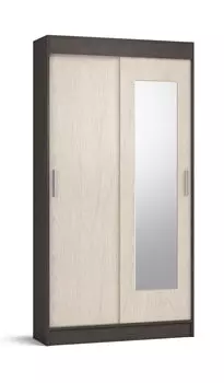 Шкаф-купе НИК-100 new зеркало Венге, Дуб